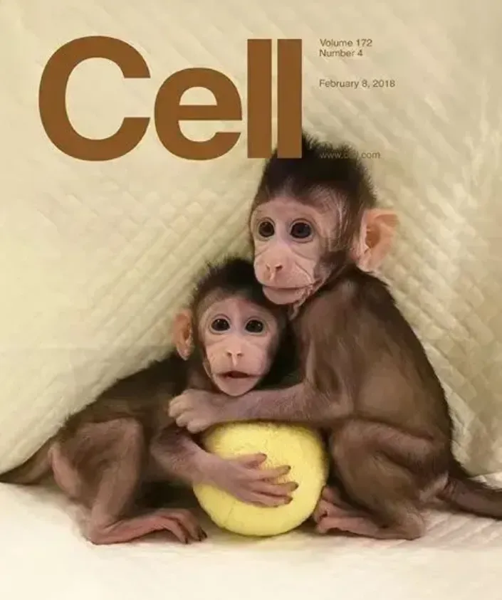 复习 ︳中考生物学情境素材复习建议——学习主题(一)生物体的结构层次 第6张