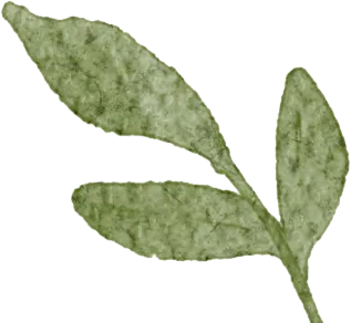 深耕历史课堂,赋能中考备考 第11张 深耕历史课堂,赋能中考备考 第11张