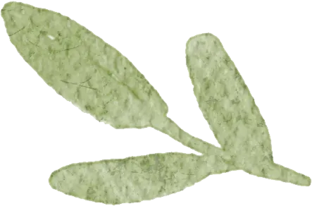 深耕历史课堂,赋能中考备考 第29张 深耕历史课堂,赋能中考备考 第29张