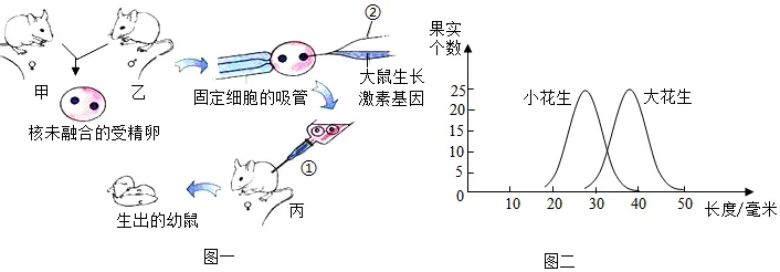 必刷!这份生物中考模拟卷,覆盖90%核心考点 第4张
