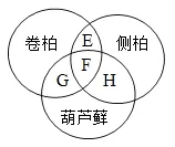 必刷!这份生物中考模拟卷,覆盖90%核心考点 第3张