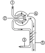 必刷!这份生物中考模拟卷,覆盖90%核心考点 第10张