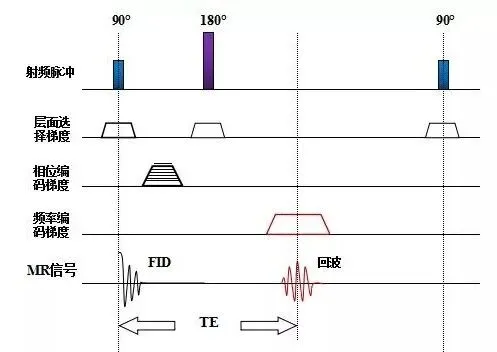 放射技术士师中历年真题考点pdf版(2025年、2024年、2023年、2022年、2021年、2019年、2017年) 第25张