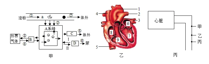 必刷!这份生物中考模拟卷,覆盖90%核心考点 第17张