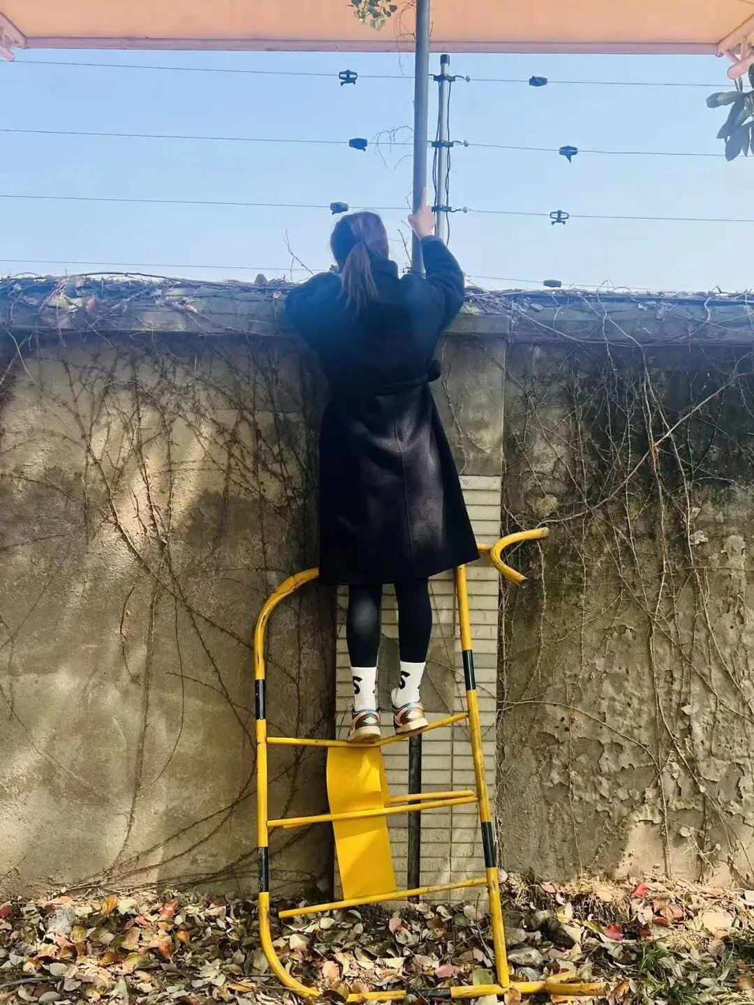 体育中考周,孩子在跑步,家长在爬墙! 第1张