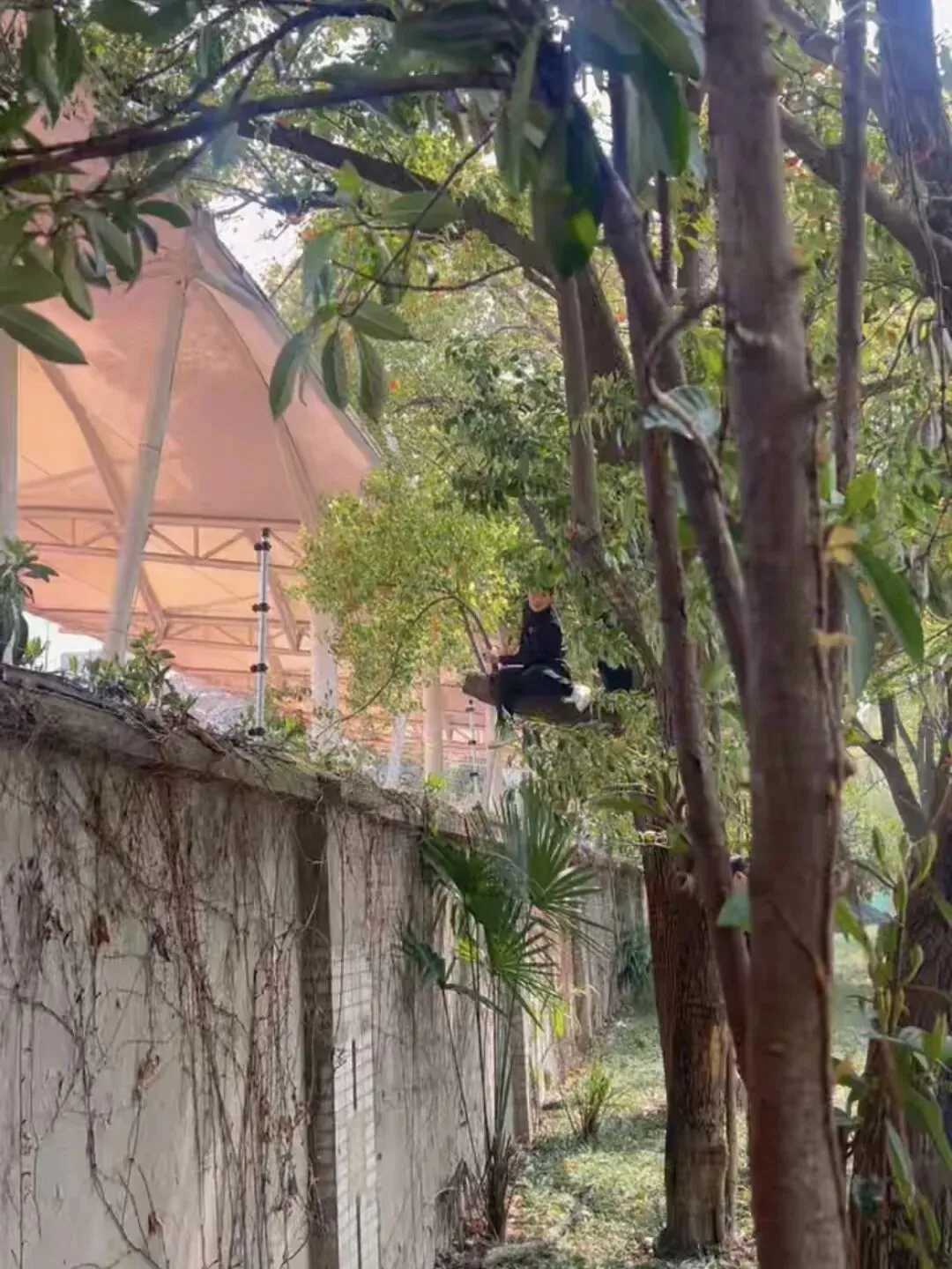 体育中考周,孩子在跑步,家长在爬墙! 第2张