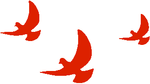 砺剑百日,决胜中考——顺德区实验中学举行2026届初三年级百日誓师大会 第2张 砺剑百日,决胜中考——顺德区实验中学举行2026届初三年级百日誓师大会 第2张