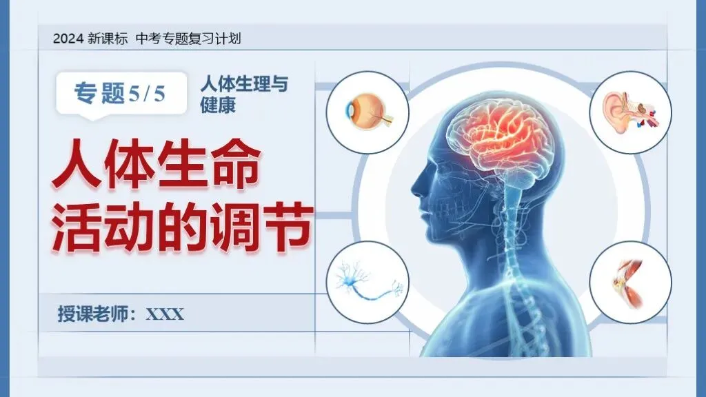 中考生物一轮复习专题5.5《人体生命活动的调节》 第10张