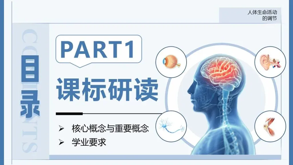 中考生物一轮复习专题5.5《人体生命活动的调节》 第12张