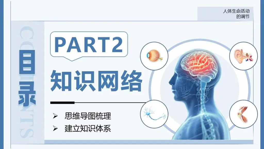 中考生物一轮复习专题5.5《人体生命活动的调节》 第16张