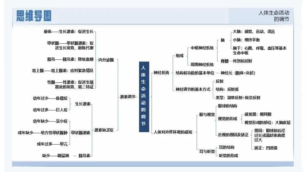 中考生物一轮复习专题5.5《人体生命活动的调节》 第17张