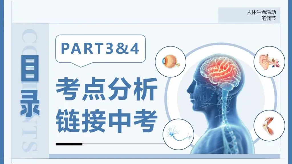 中考生物一轮复习专题5.5《人体生命活动的调节》 第18张