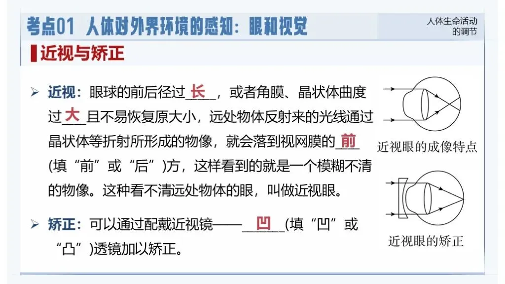 中考生物一轮复习专题5.5《人体生命活动的调节》 第22张