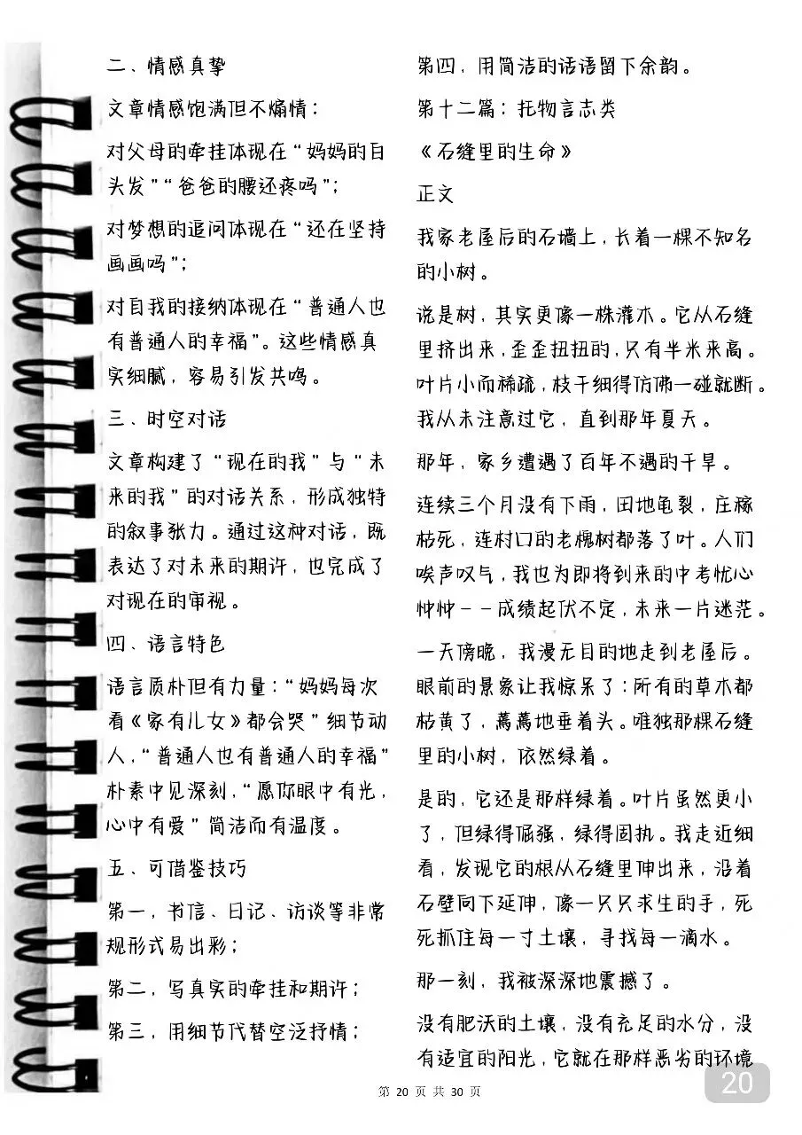 中考满分作文写作攻略及范文赏析 第20张