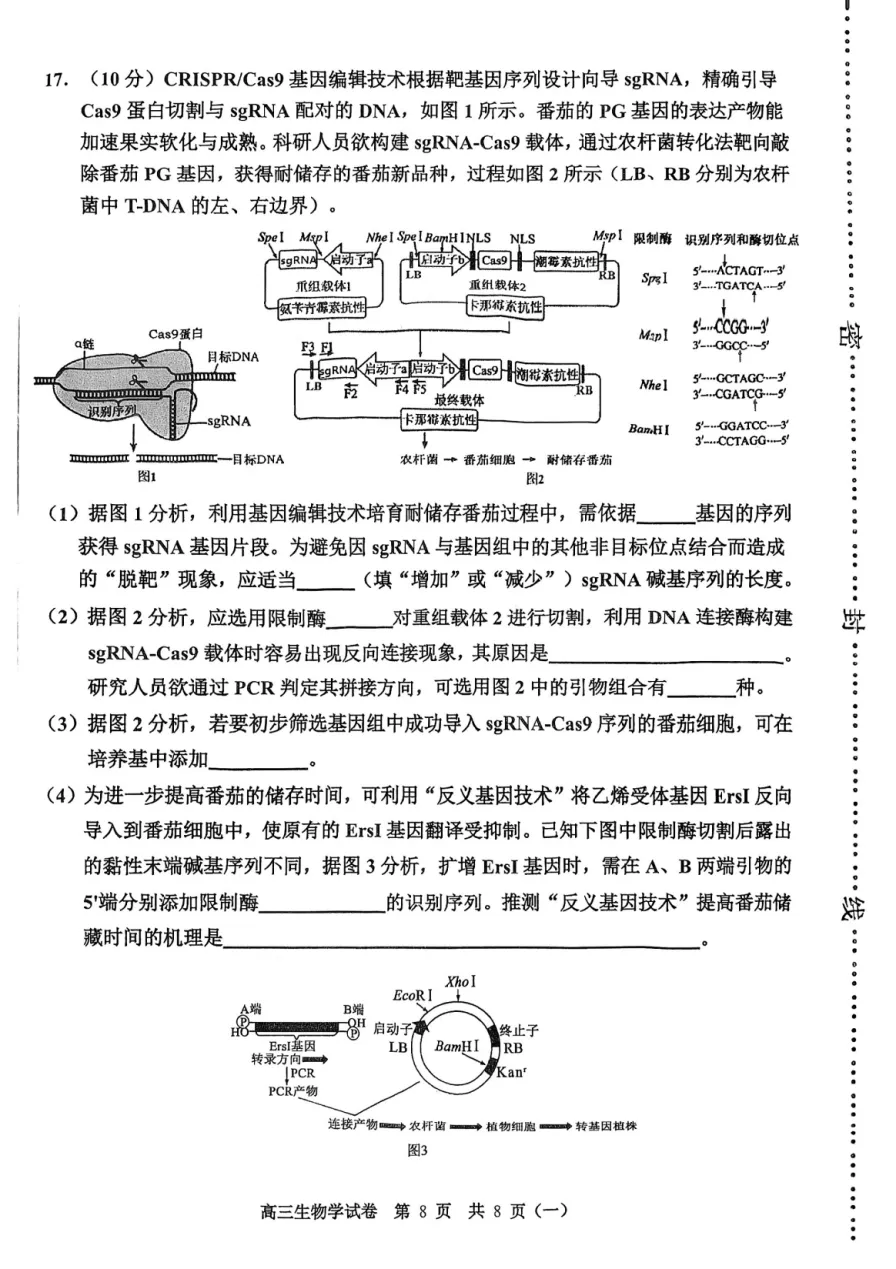 2026河西区高三一模生物试卷和答案 第8张