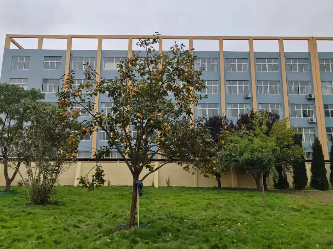 中考语文复习每日一练:成语运用 第1张 中考语文复习每日一练:成语运用 第1张