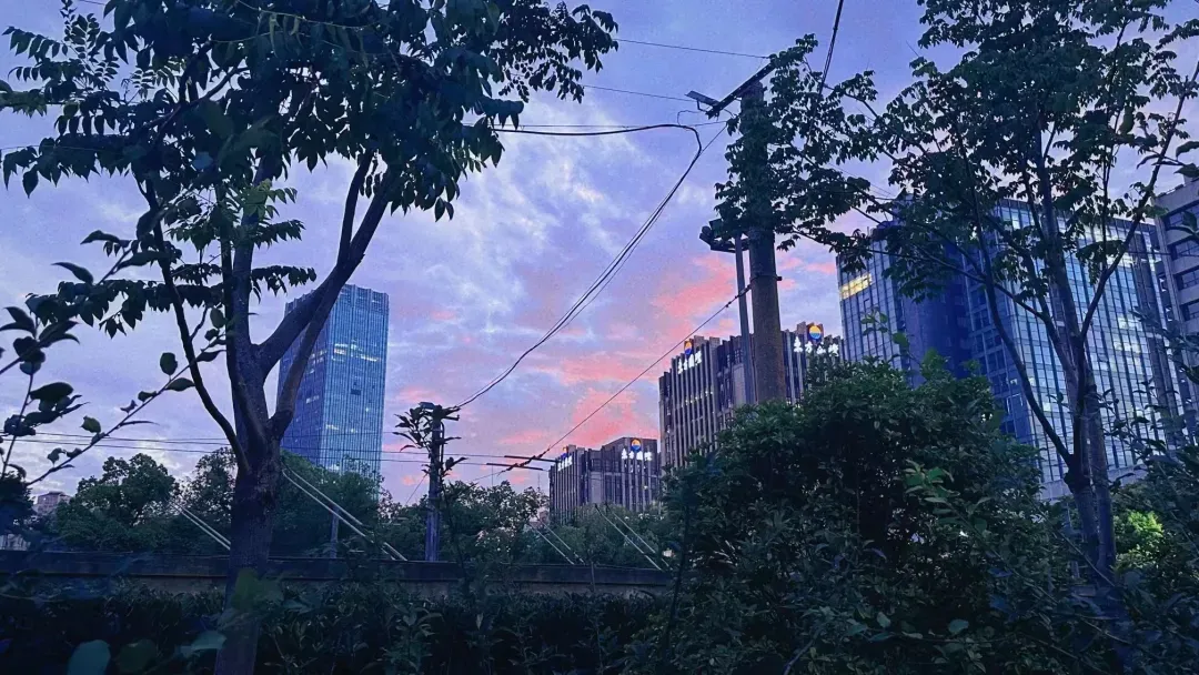 距离中考失利已经过去快要一年了 第1张