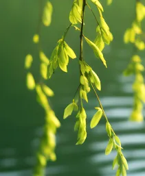 承接上期干货|完形真题词频完整版,2010-2025全覆盖,直接背诵 第2张