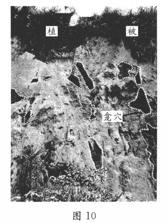 成都2023级高三第二次模拟考试全解析 第8张