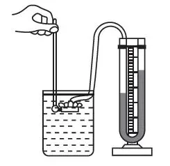 【第891期】公益课堂:【九年级中考第一轮复习 专题9 《压强一》】(九年级第二学期复习教学) 第5张