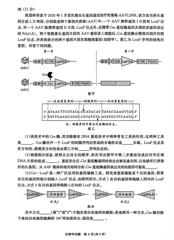 高清版~2026届成都二诊全科试卷及答案 第81张