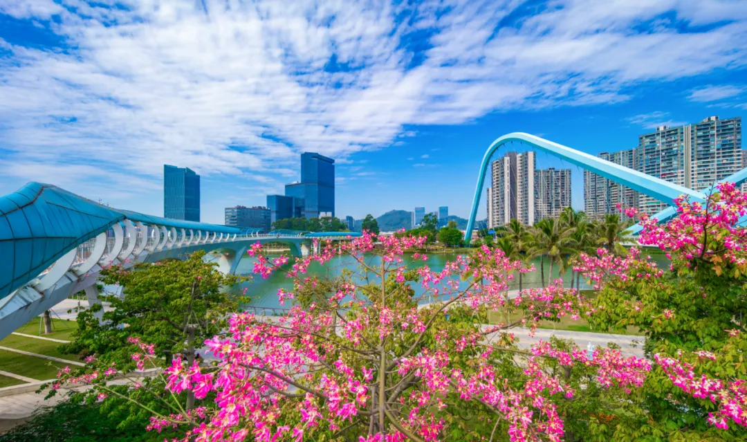 2026广州中考政策落地|南沙普高学位扩容,非户籍报考要点速看! 第9张