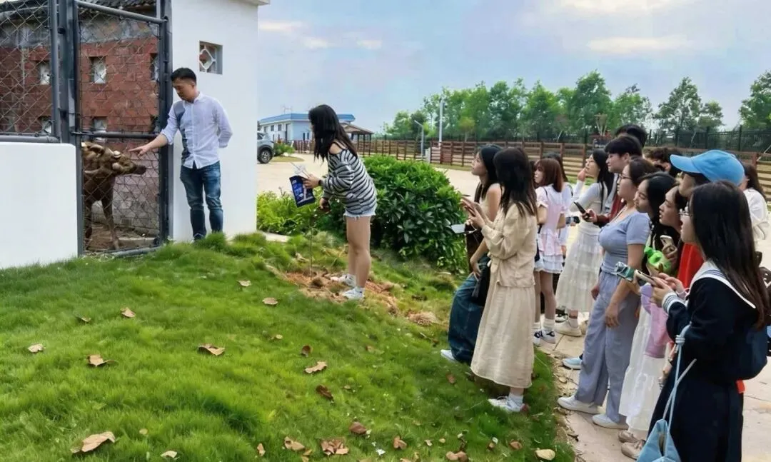 把课堂搬进春天里——多语种创新班的真题真做实践纪实 第5张