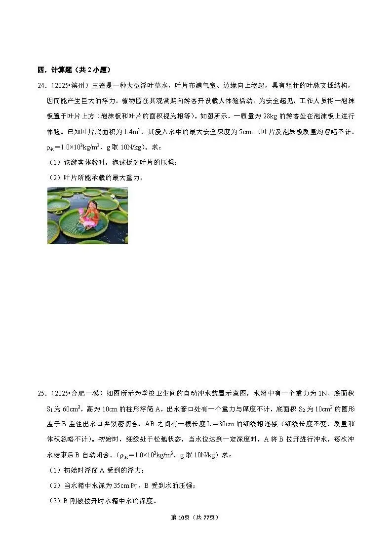 中考物理 常考考点《浮力》专项训练(含答案,可下载打印) 第10张 中考物理 常考考点《浮力》专项训练(含答案,可下载打印) 第10张