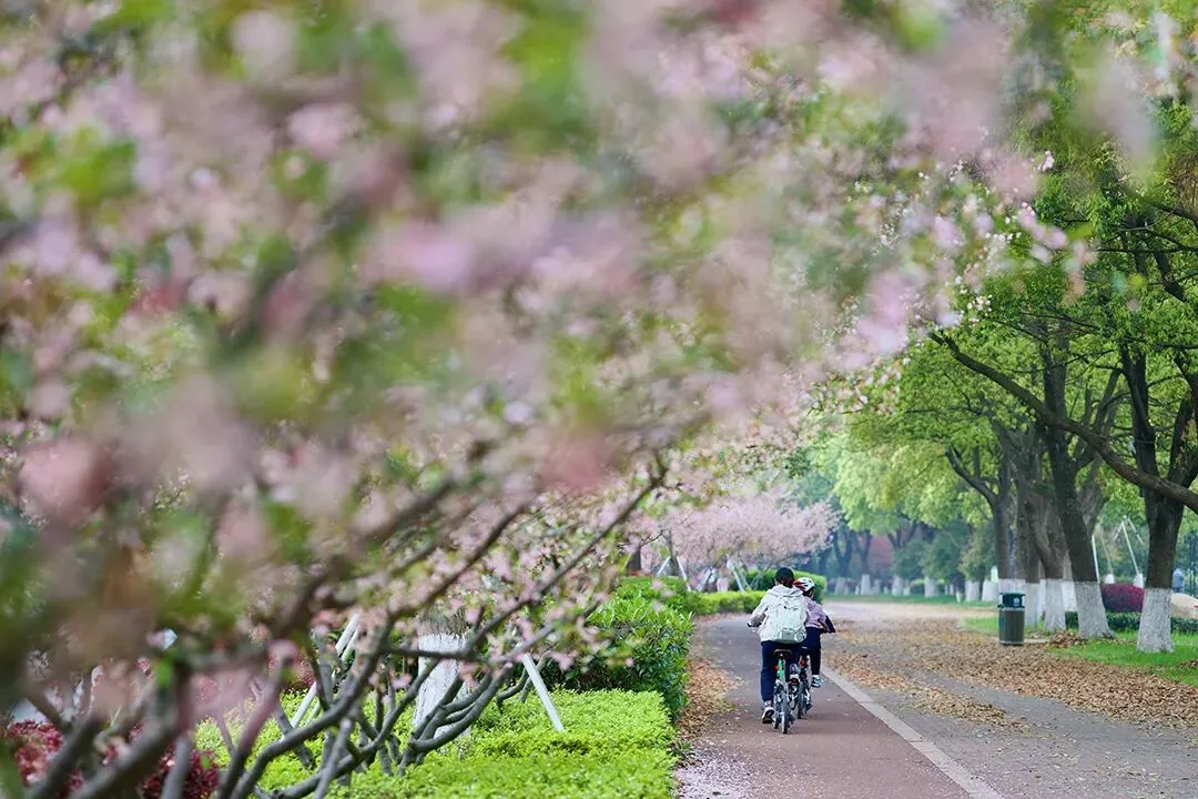 两张不理想的试卷,照见最该守住的育儿真相 第1张 两张不理想的试卷,照见最该守住的育儿真相 第1张
