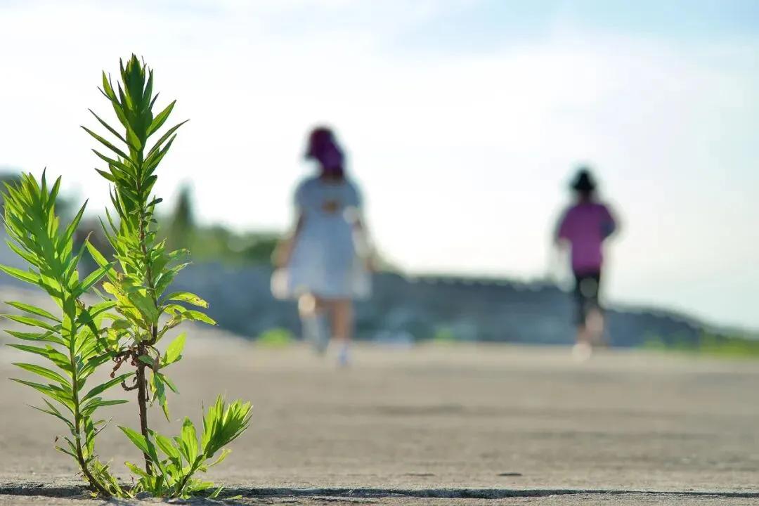两张不理想的试卷,照见最该守住的育儿真相 第11张 两张不理想的试卷,照见最该守住的育儿真相 第11张