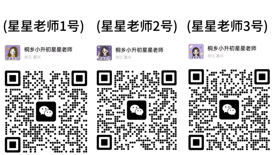 桐乡小升初分班考不用慌!历年真题卷免费领,提前练! 第10张