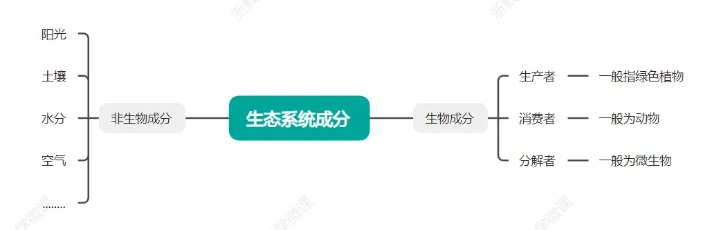 中考科学高频易错——一道涉及生物、物理综合的错题分析 第2张