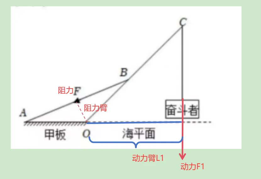 中考科学高频易错——一道涉及生物、物理综合的错题分析 第4张