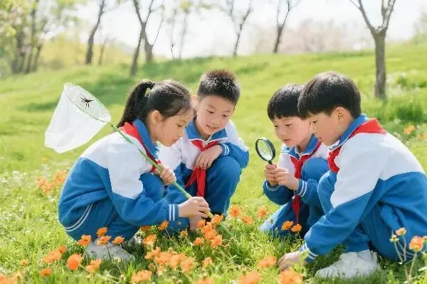 中考“指挥棒”转向,你的家庭教育跟上了吗? 第15张 中考“指挥棒”转向,你的家庭教育跟上了吗? 第15张