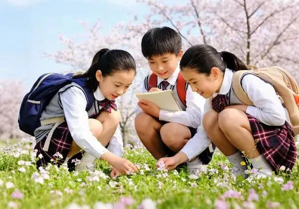 中考“指挥棒”转向,你的家庭教育跟上了吗? 第19张 中考“指挥棒”转向,你的家庭教育跟上了吗? 第19张