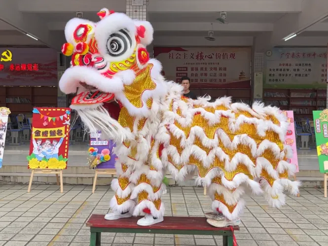 百日冲刺踏征程,青春无悔战中考——广宁县宾亨镇中心学校2026年百日誓师大会 第16张