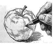 2026届四川成都二诊模拟考试英语试题 第1张 2026届四川成都二诊模拟考试英语试题 第1张