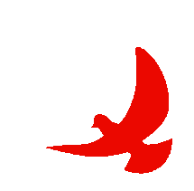 冲刺100天,让我们以少年意气书写中考精彩! 第5张 冲刺100天,让我们以少年意气书写中考精彩! 第5张