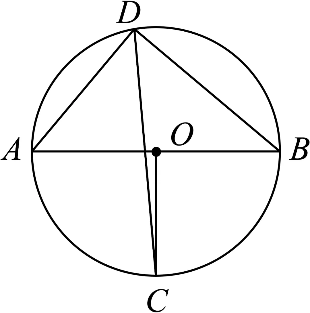2026年安徽省阜阳市阜南县中考数学一模试卷-A4答案卷尾 第9张