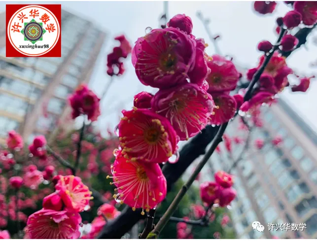 【高考模拟】2026南宁市高三第二次适应性考试数学试题与参考答案 第1张