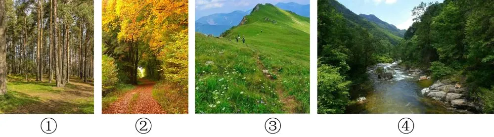 【考点真题汇编】2026026自然环境的地域差异性2025年高考分类汇编 第3张 【考点真题汇编】2026026自然环境的地域差异性2025年高考分类汇编 第3张