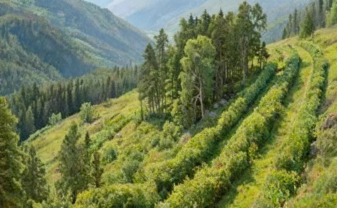 【考点真题汇编】2026026自然环境的地域差异性2025年高考分类汇编 第8张 【考点真题汇编】2026026自然环境的地域差异性2025年高考分类汇编 第8张