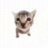 表情包:和试卷对视中.... 第5张