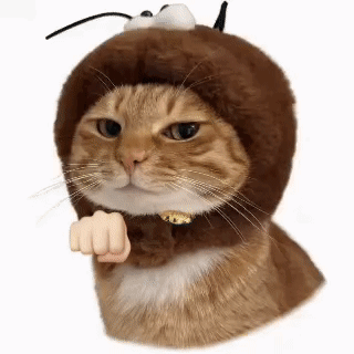 表情包:和试卷对视中.... 第8张