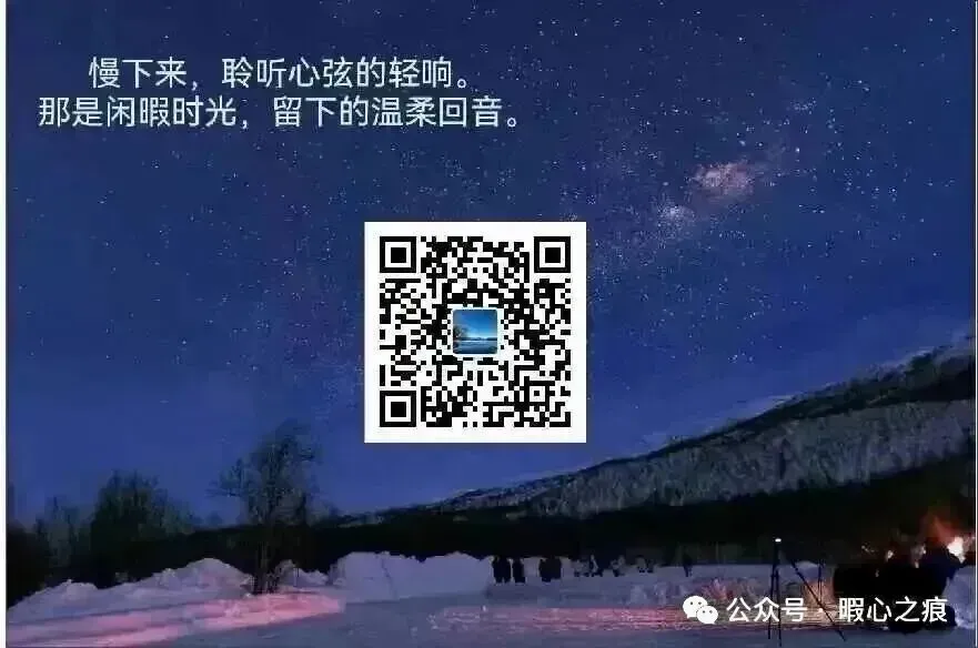 中考必考古诗赏析及常考题型|| 24.《送杜少府之任蜀州》(八下) 第2张