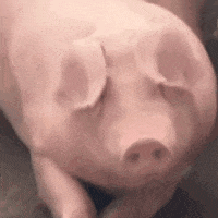 表情包:和试卷对视中.... 第37张