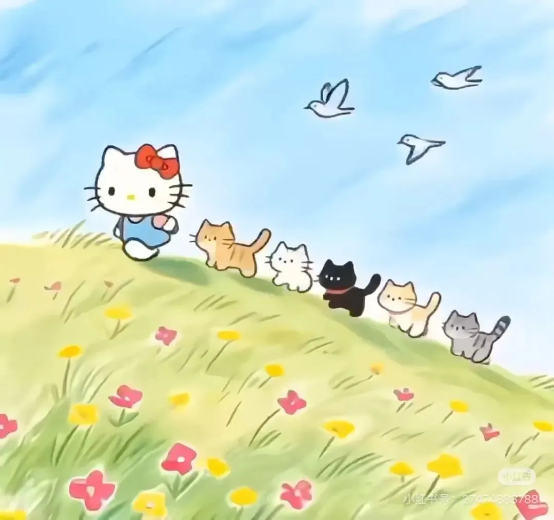 2026数学中考一模模拟卷 第9张