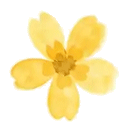 精准把脉明方向,踔厉奋发赢中考|记滨城区教体局教研室莅临我校指导毕业班教学工作 第5张