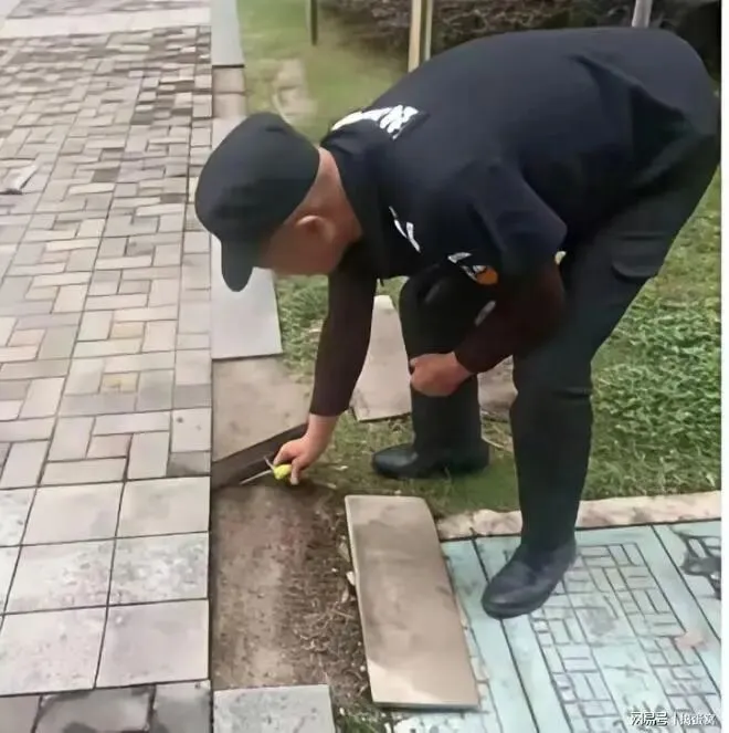 2026中考作文四大核心方向预测+高分范文 第37张 2026中考作文四大核心方向预测+高分范文 第37张