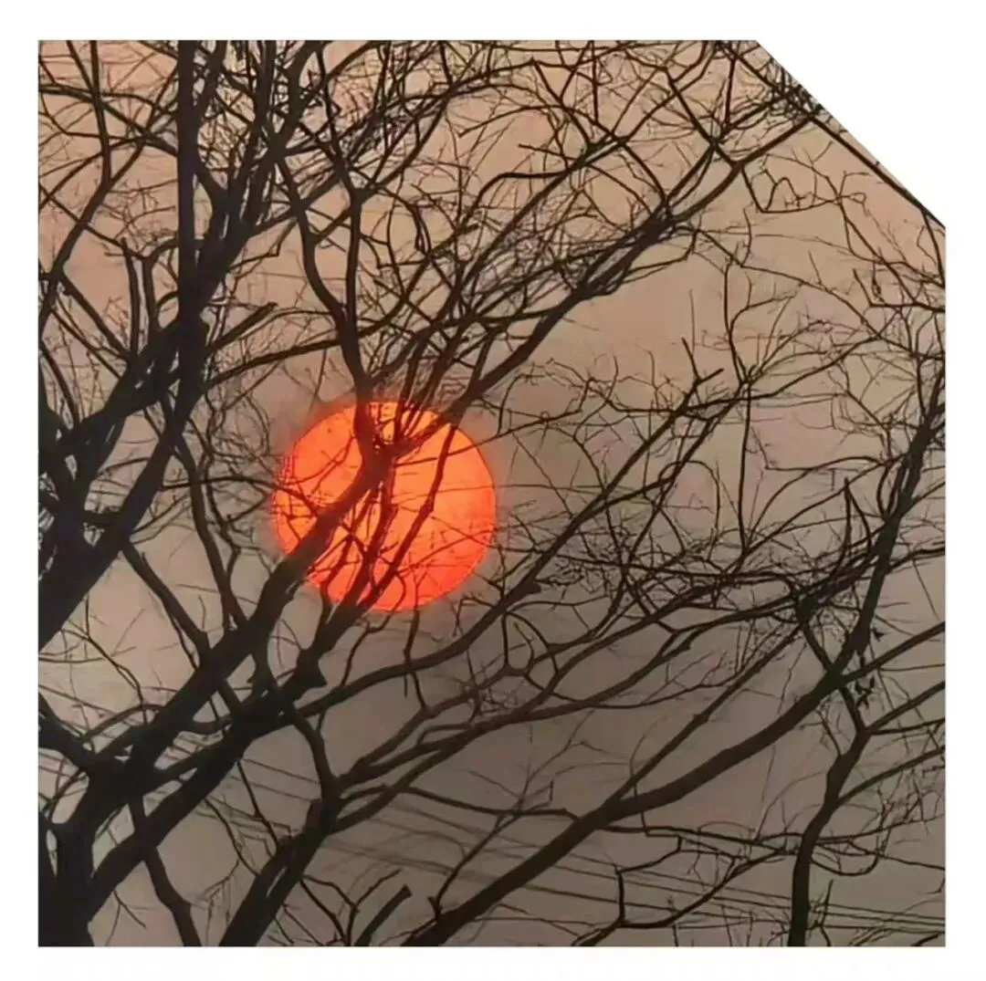 南京市、盐城市2026届高三年级第一次模拟考试|作文“井底之蛙”审题立意 第2张